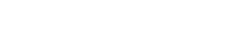 The Walt Disney Company